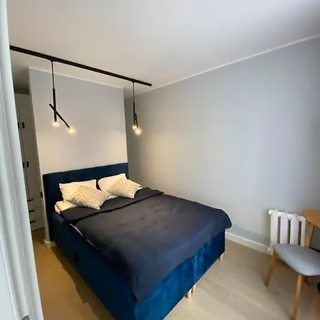 Cozy In The Centre Of Apartment